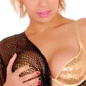 cover-dt.jpg
